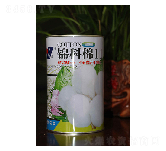 錦科棉11-棉花種子-邢源農業
