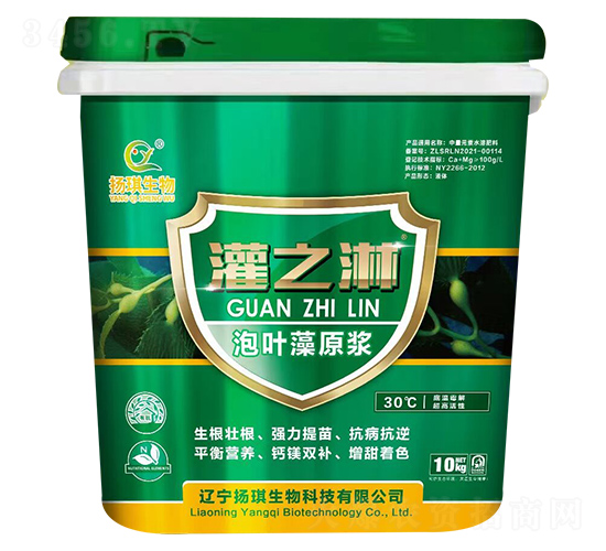 泡葉藻原漿-灌之淋-揚琪生物