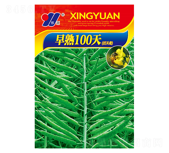 早熟100天-油菜種子-邢源農業