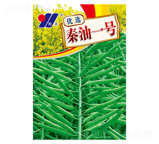 優選秦油一號-油菜種子-邢源農業