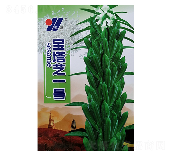 寶塔芝1號-芝麻種子-邢源農業