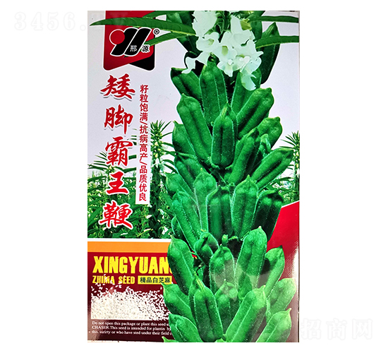 矮腳霸王鞭-芝麻種子-邢源農業