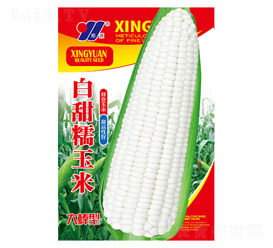 Ŵ-׷N-ԴrI