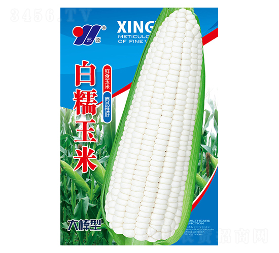 Ŵ-׷N-ԴrI