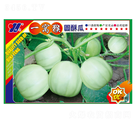 一窩猴圓酥瓜-甜瓜種子-邢源農業