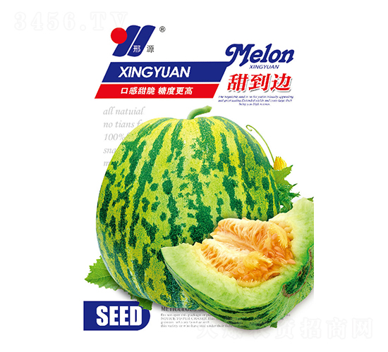 甜到邊-甜瓜種子-邢源農(nóng)業(yè)