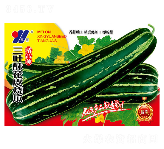 三葉酥花皮燒瓜-甜瓜種子-邢源農業