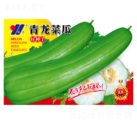 青龍菜瓜-甜瓜種子-邢源農(nóng)業(yè)