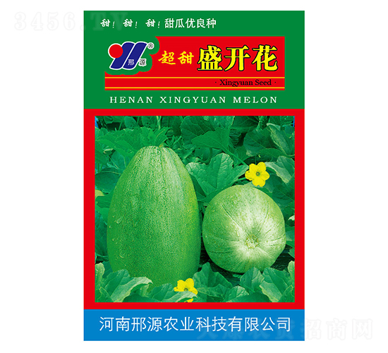 超甜盛開花-甜瓜種子-邢源農業