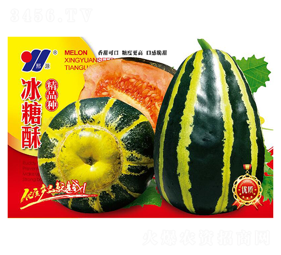 冰糖酥精品種-甜瓜種子-邢源農業