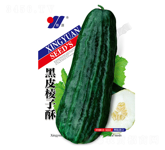 黑皮棱子酥-甜瓜種子-邢源農業