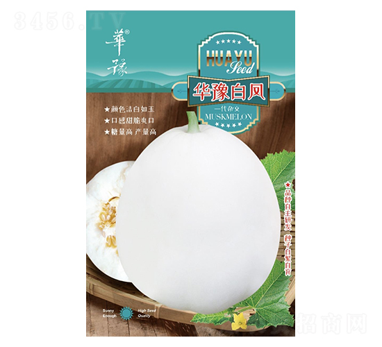 華豫白鳳-甜瓜種子-邢源農業