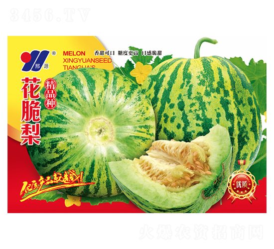 花脆梨精品種-甜瓜種子-邢源農業