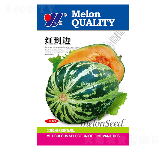 紅到邊-甜瓜種子-邢源農業