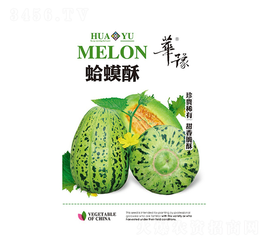 蛤蟆酥-甜瓜種子-邢源農業