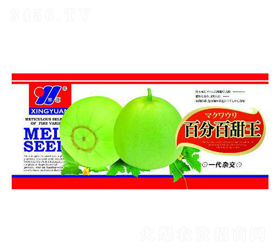 百分百甜王-甜瓜種子-邢源農業