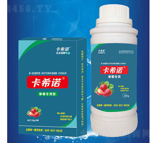 草莓專用-卡希諾