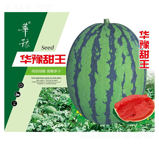 華豫甜王-西瓜種子-邢源農業