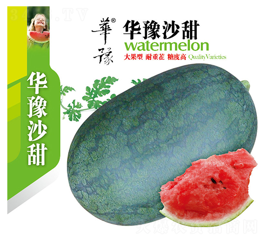 華豫沙甜-西瓜種子-邢源農業