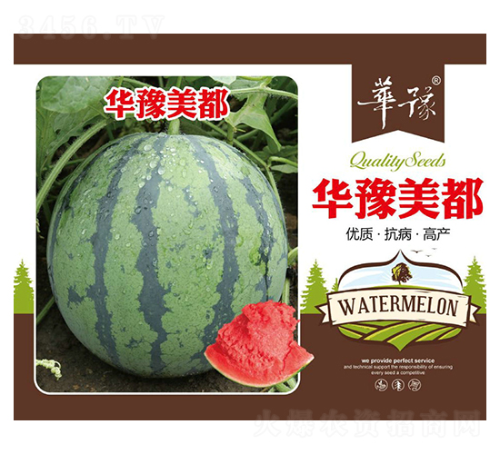 華豫美都-西瓜種子-邢源農業