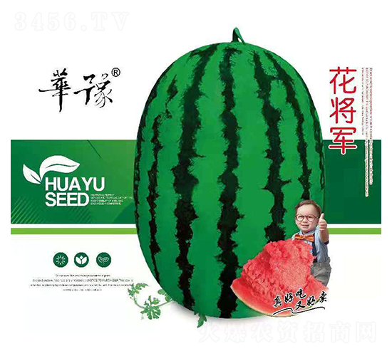 花將軍-西瓜種子-邢源農業