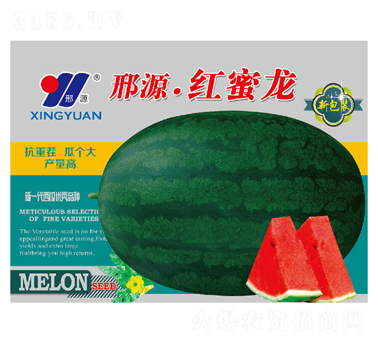 紅蜜龍-西瓜種子-邢源農業