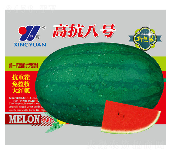 高抗8號-西瓜種子-邢源農業