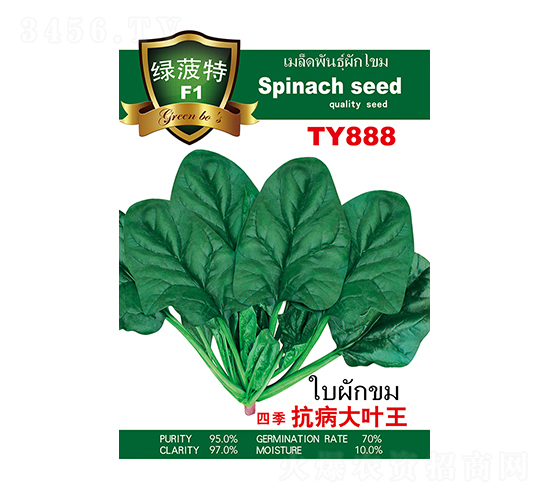 四季抗病大葉王-菠菜種子-邢源農業
