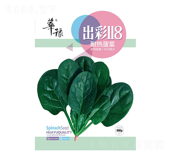 出彩118-菠菜種子-邢源農業