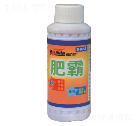 肥霸-伯倫特