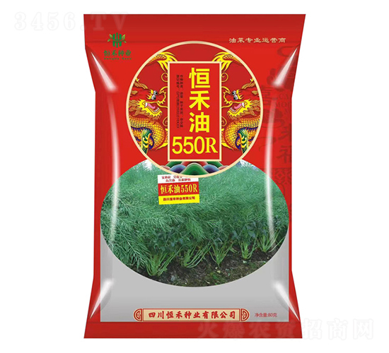 油菜種子-恒禾油550R-恒禾種業