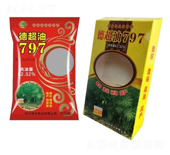 油菜種子-德超油797-恒禾種業
