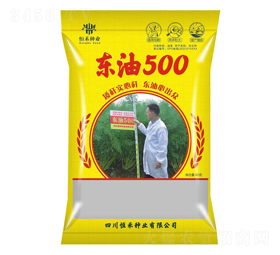 油菜種子-東油500-恒禾種業