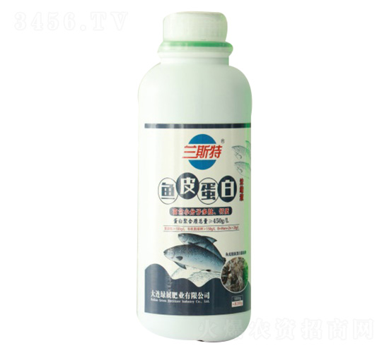 1000gm˹~Ƥ-GչʘI