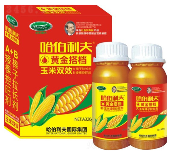 黃金搭檔-哈伯利夫