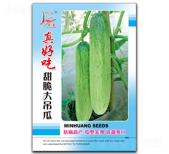 真好吃甜脆大吊瓜-吊瓜種子-閩皇種業