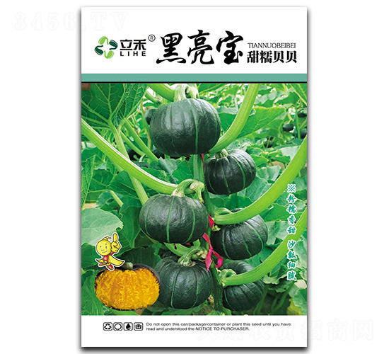 黑亮寶-貝貝南瓜種子-閩皇種業