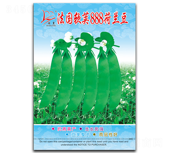 法國軟莢888-荷蘭豆種子-閩皇種業