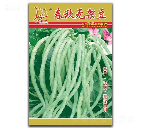 春秋無架豆-豆角種子-閩皇種業