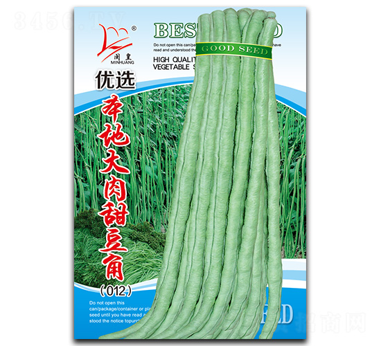 本地大肉甜豆角-豆角種子-閩皇種業