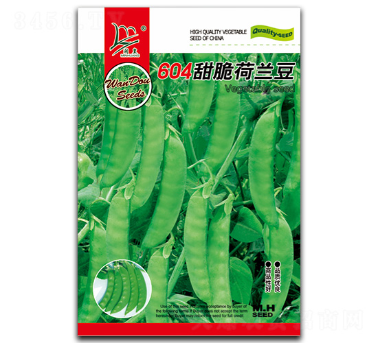 604甜脆荷蘭豆-荷蘭豆種子-閩皇種業