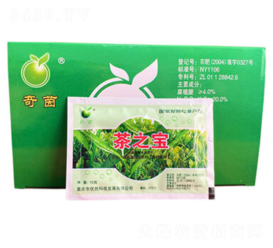 茶之寶-奇茵-優勝