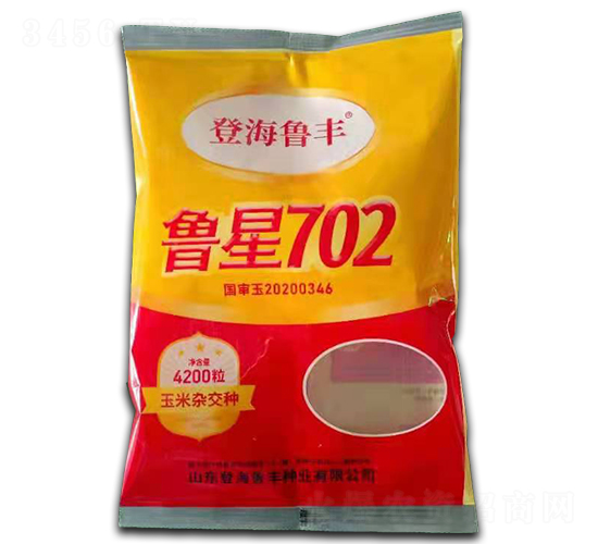魯星702-玉米種子-袁氏農業