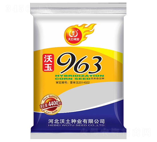 沃玉963-玉米種子-沃土種業