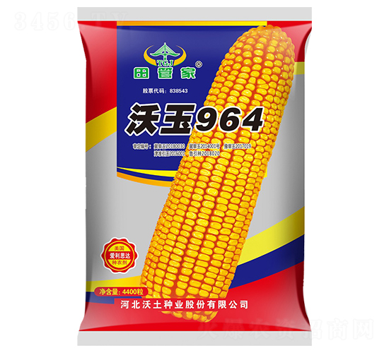 沃玉964-玉米種子-沃土種業