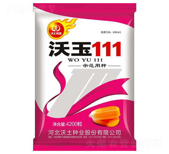 沃玉111-玉米種子-沃土種業