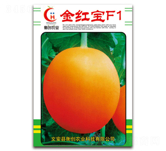 t-ƤϷN-ℓrI