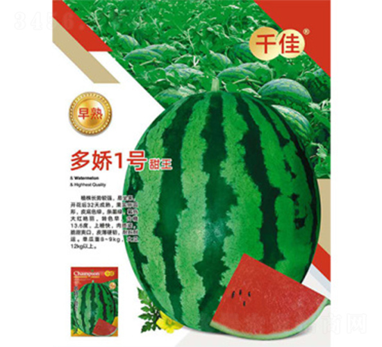 多嬌一號甜王-西瓜種子-恒瑞種業
