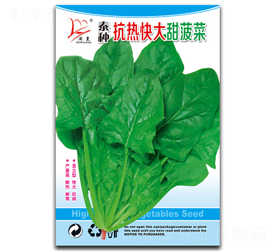 泰種抗熱快大甜菠菜-菠菜種子-閩皇種業