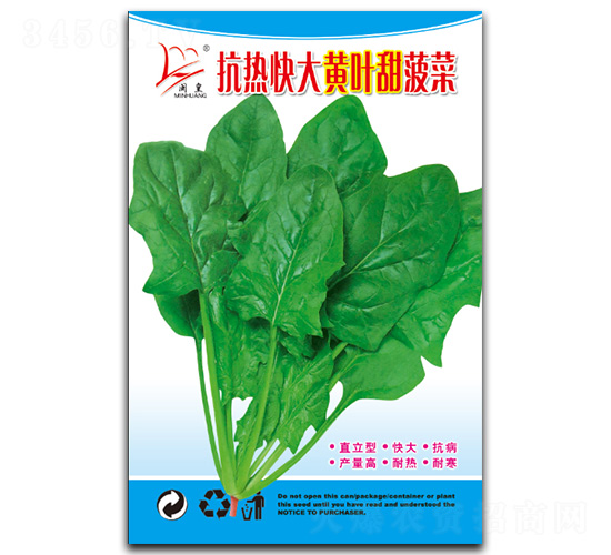 抗熱快大黃葉甜菠菜-菠菜種子-閩皇種業